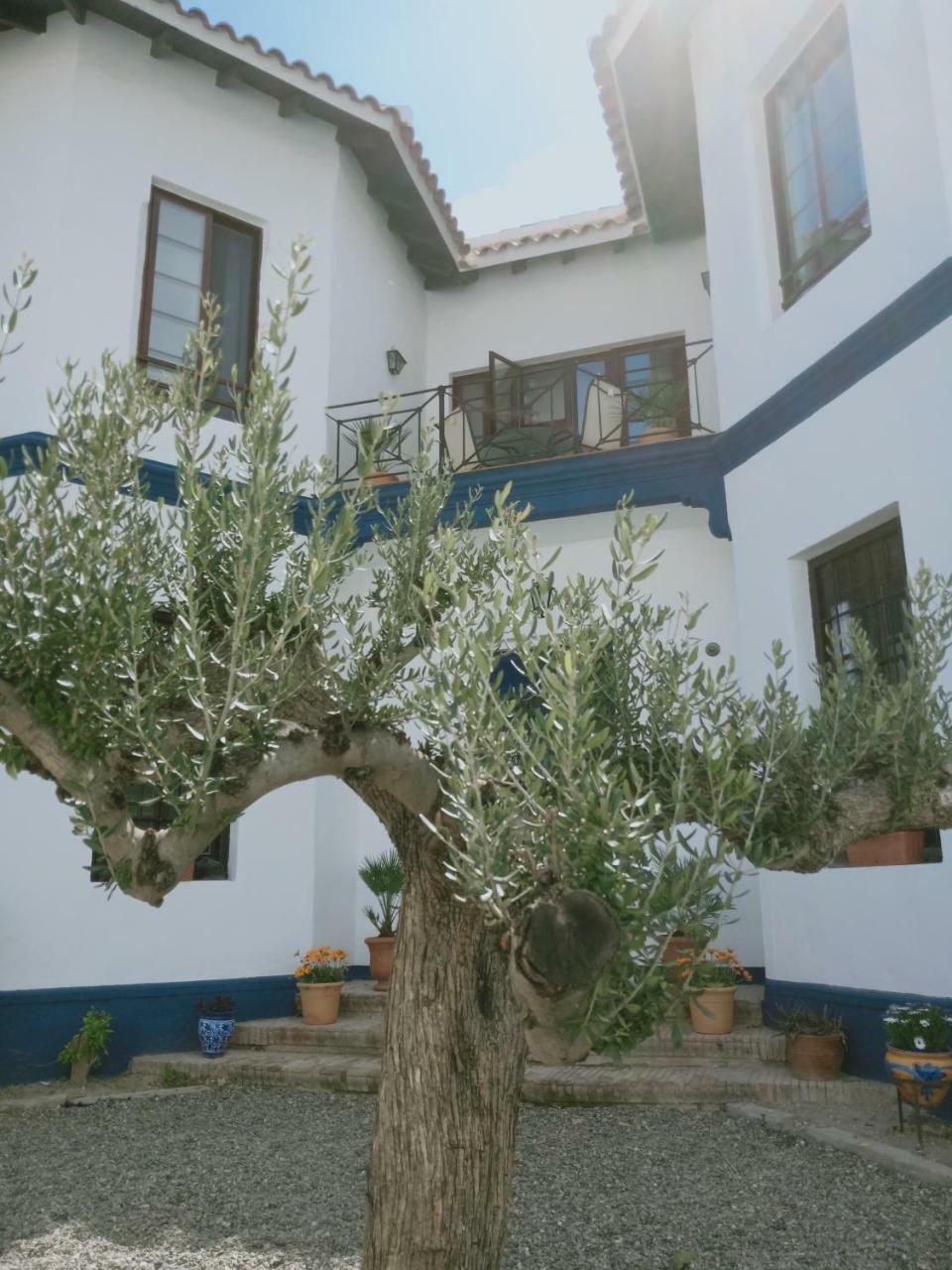 El Cielo Azul Panzió Álora Kültér fotó