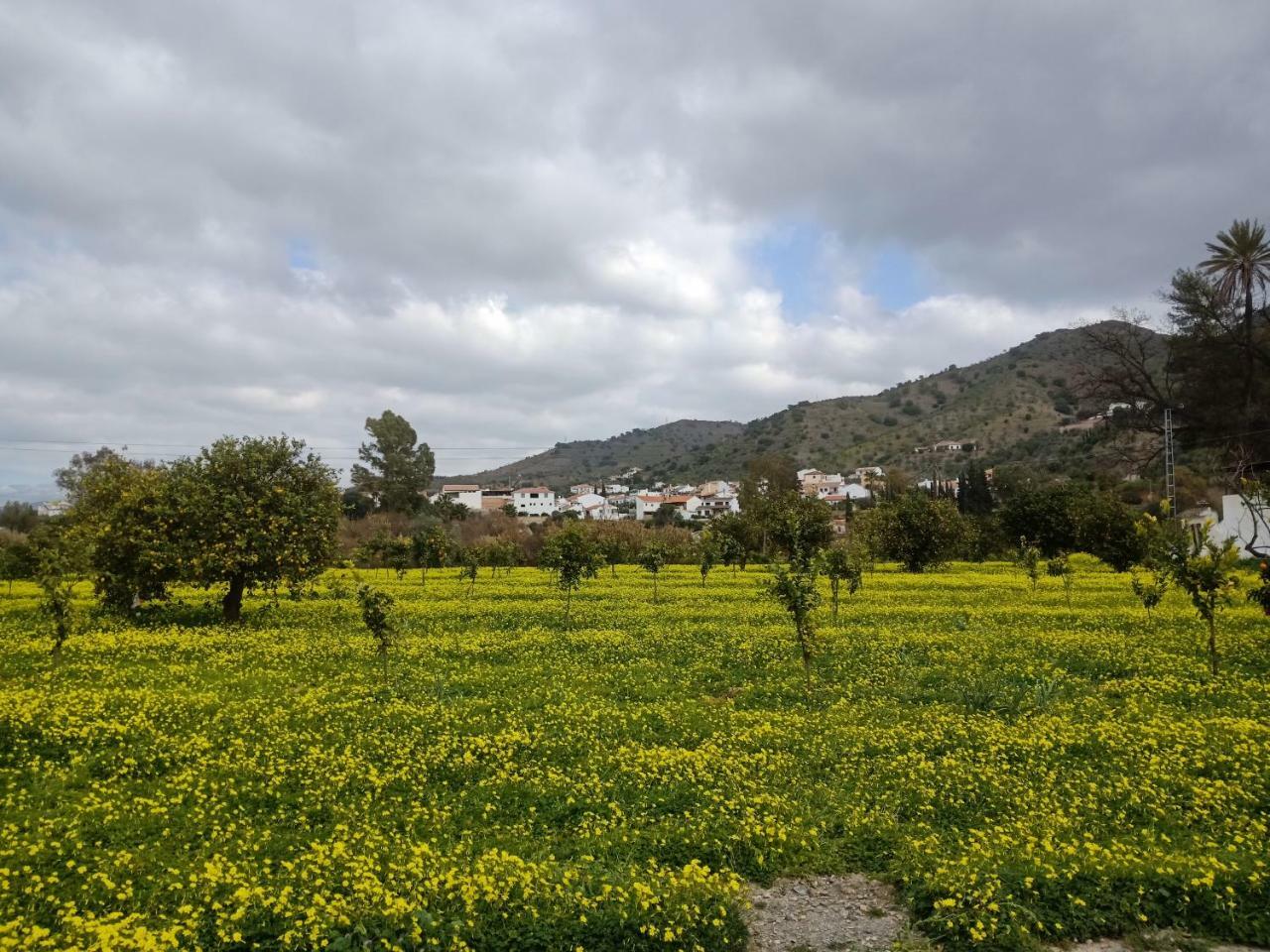 El Cielo Azul Panzió Álora Kültér fotó